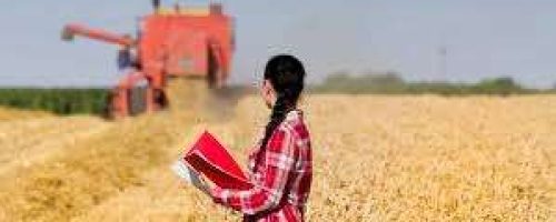 mulher_agro