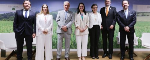 mulheres rural