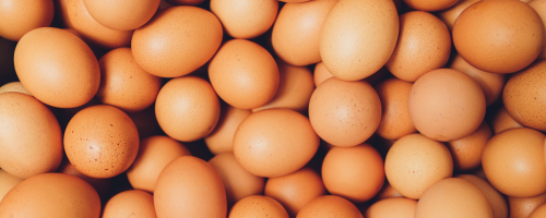 ovos