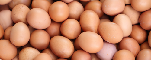 ovos