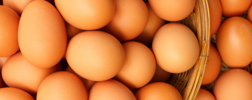 ovos