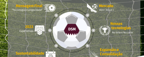 partida dsm