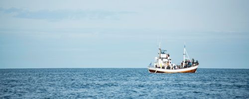 pesca