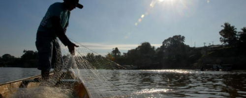 pesca