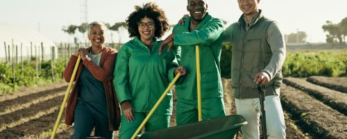 Portrait, people or team for agriculture on farm with tools, wheelbarrow or equipment for planting.