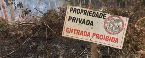 Fonte: reprodução