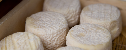 queijo artesanal