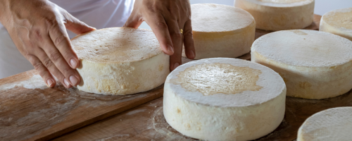 queijo