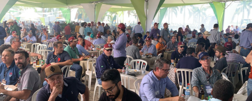 scot consultoria dia de campo confinamento cma