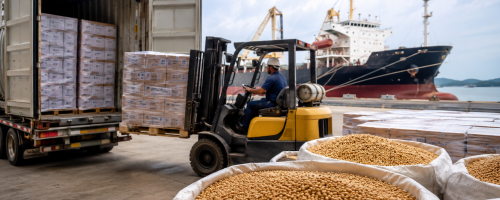 soja e carne de aves impulsionam exportações em julho (2)