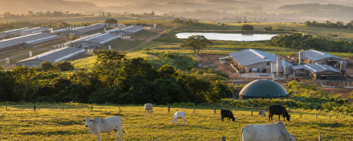 sustentabilidade amplia eficiência nas cadeias de proteína animal