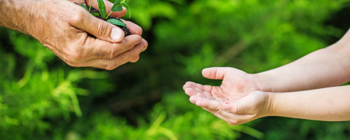 sustentabilidade