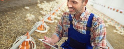 Technology used by a modern farmer