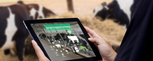 tecnologia bovina