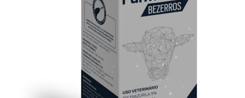 texto - 2023-02-17T122750903