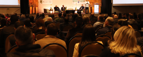 Conbrasul recebeu 360 congressistas na edição de 2023 (Foto: FeedFood)