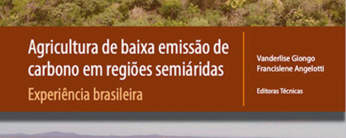 texto (85)