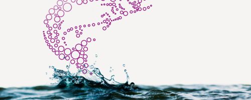 evonik