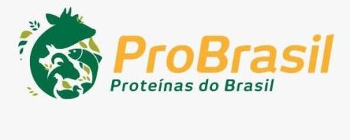 versao menor 594x447 1